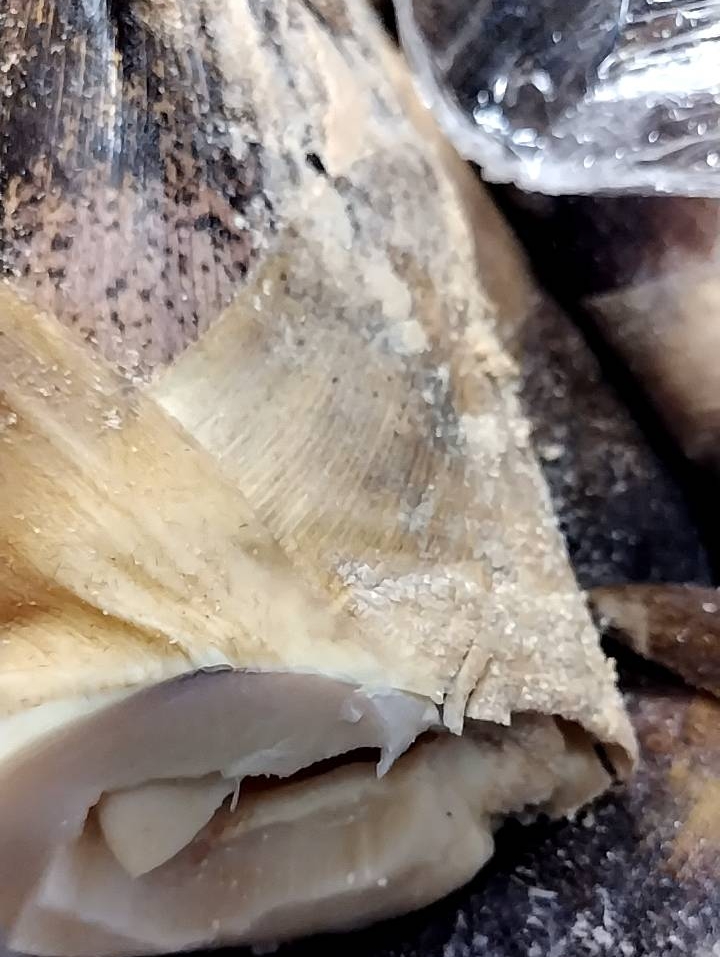 タケノコ