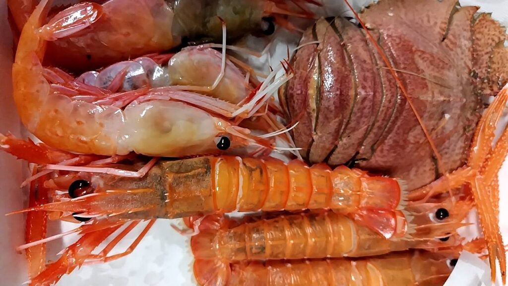 赤座海老、本ボタン海老、ウチワエビ