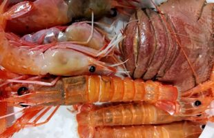 赤座海老、本ボタン海老、ウチワエビ