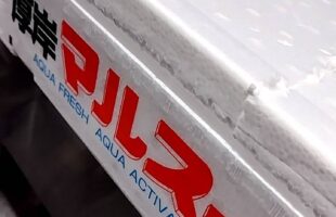 北海道産のサンマ