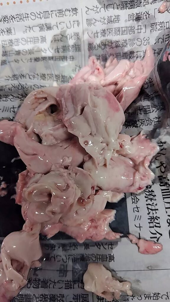 チゴタラのキモ