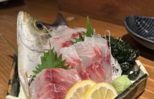 イサキの刺身