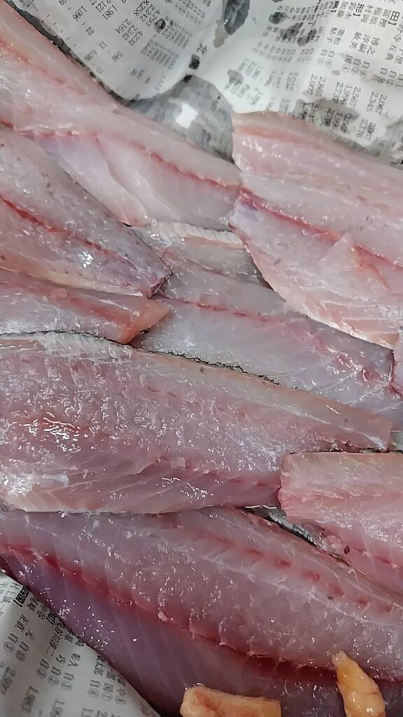 新鮮な伊勢湾のイサキをさばいています