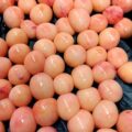 アブラツノザメの卵