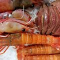 赤座海老、本ボタン海老、ウチワエビ