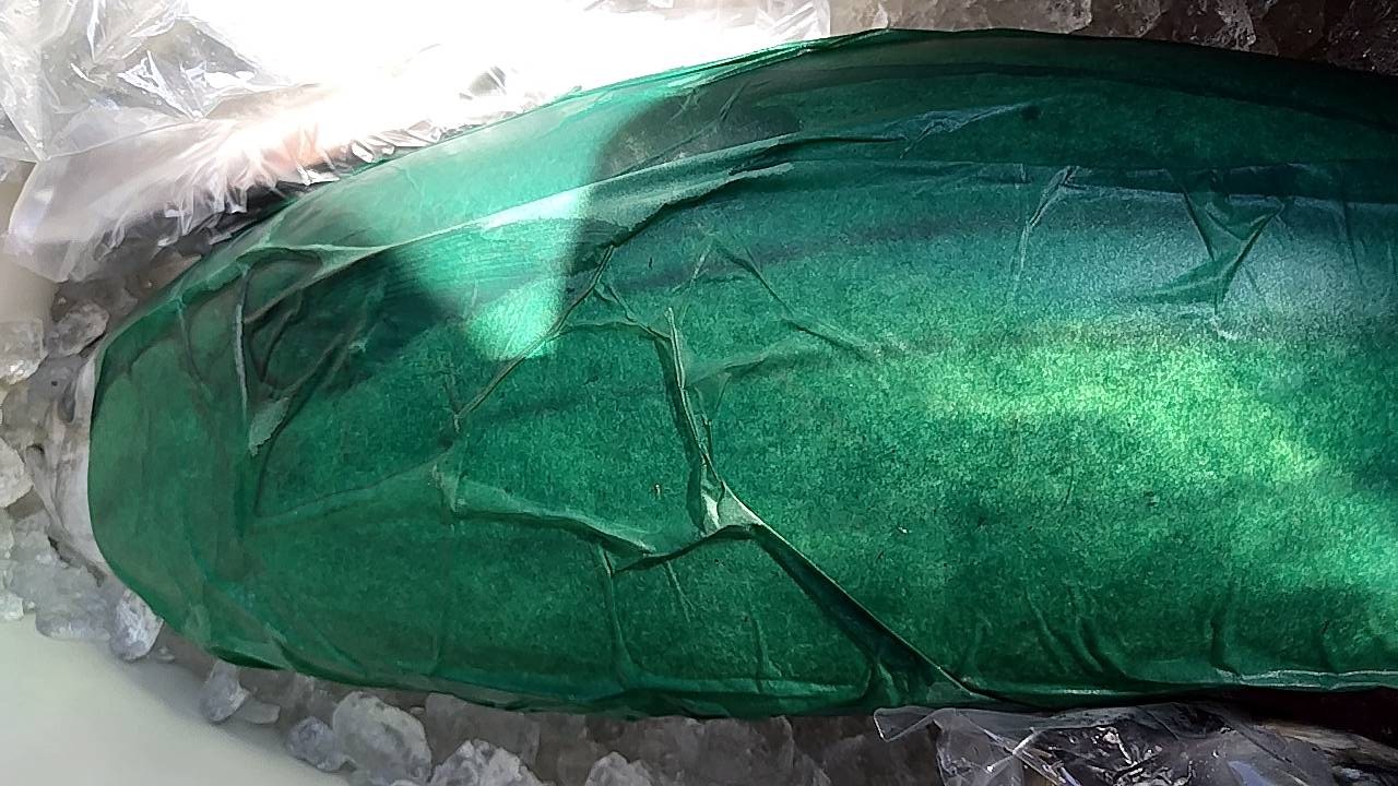 三重県産、1本釣りの特大カツオ