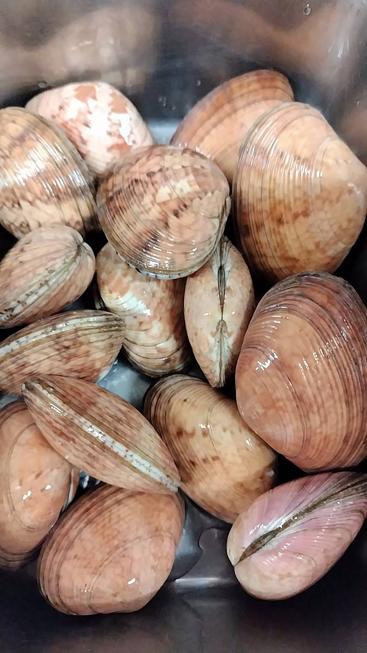 アケ貝