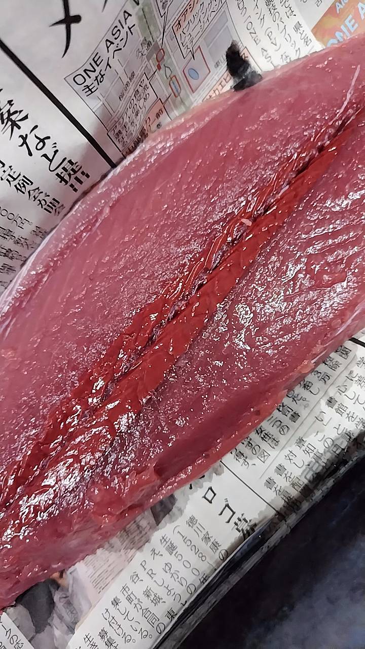 カツオ