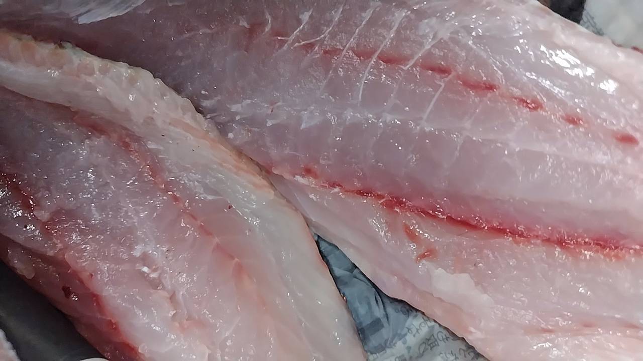 ヒメフエダイ