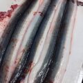 肉厚のウナギ